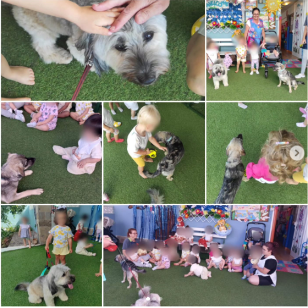 animales en la escuela